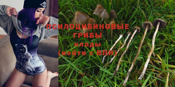 шишки Михайлов