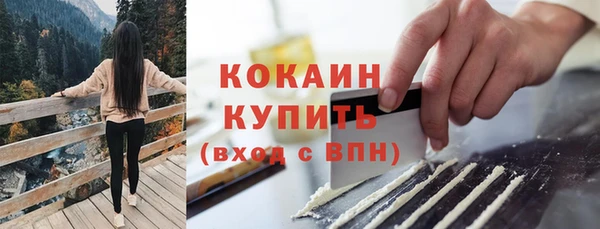 шишки Михайлов