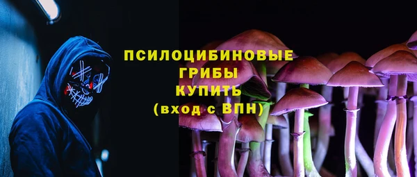 шишки Михайлов