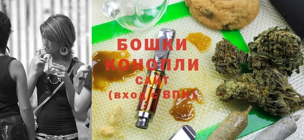 шишки Михайлов