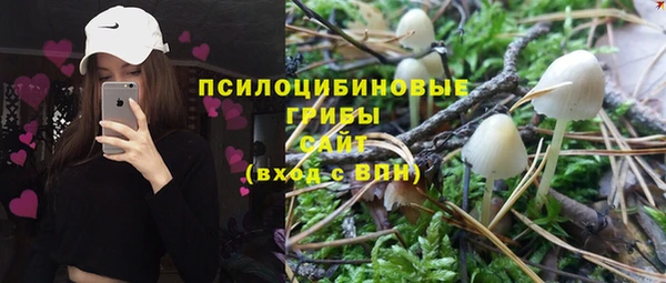 шишки Михайлов