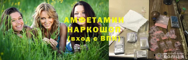 шишки Михайлов